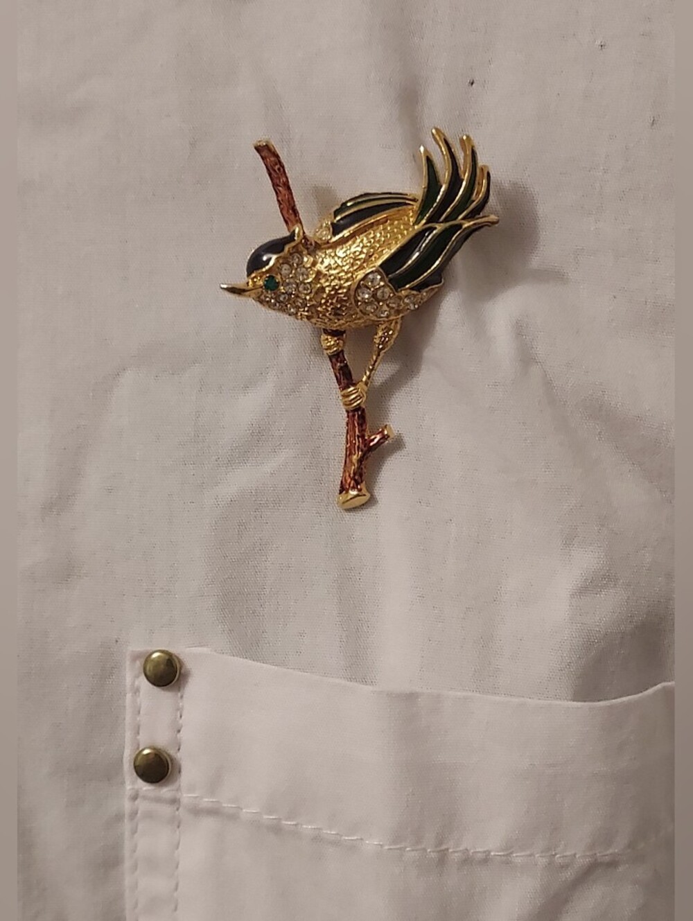 Vintage Sphinx Bird of Paradise Brooch Pin A2761 ~~Read Description